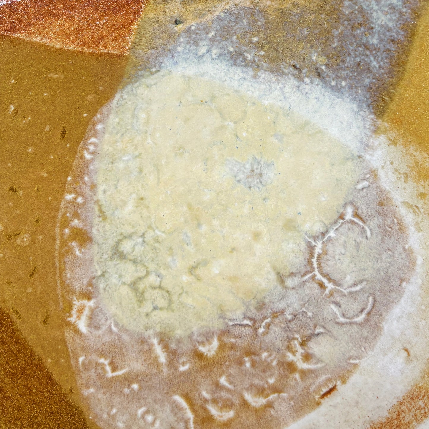 Flat plate – SEPIA M