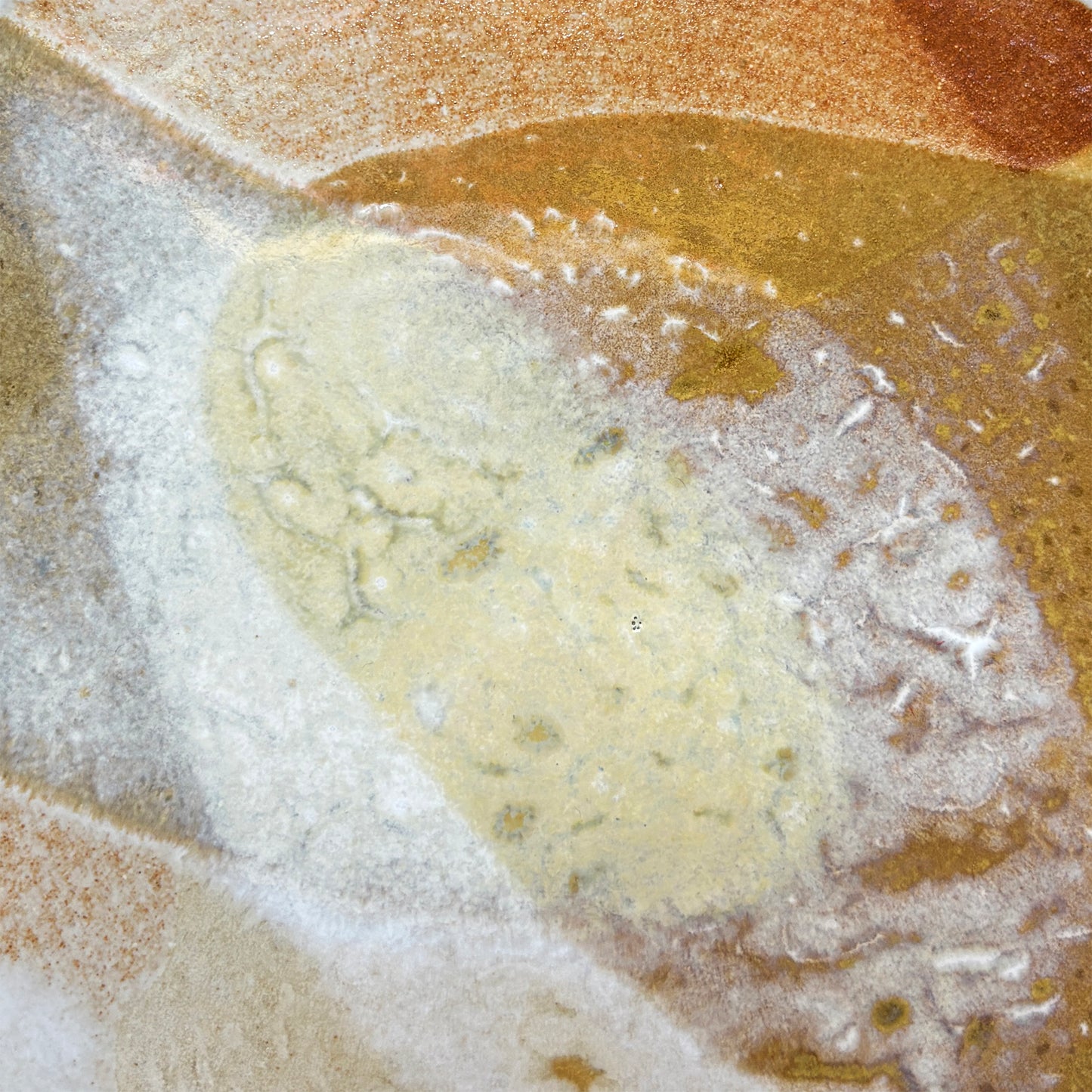 Flat plate – SEPIA M