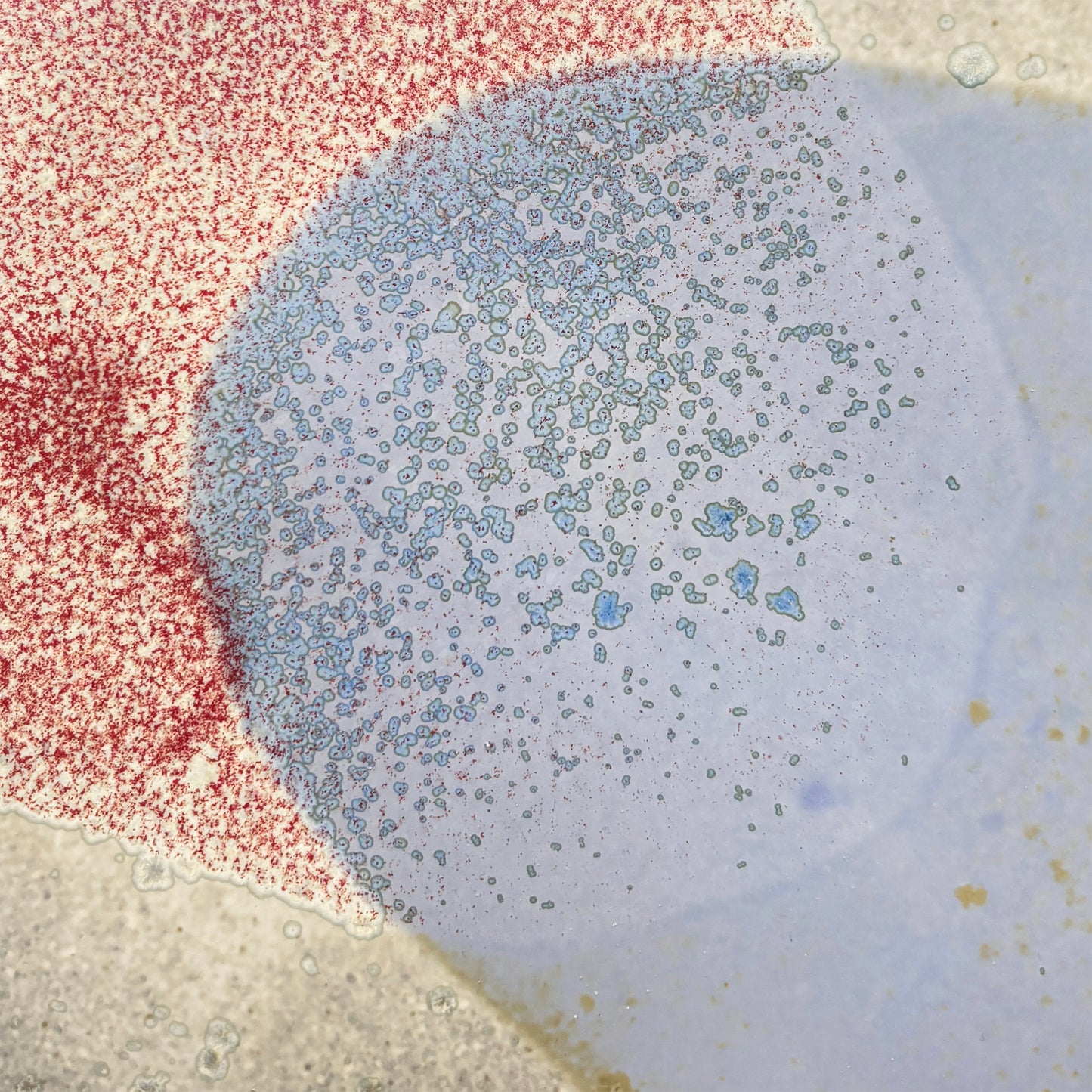 Stoneware plate – WHITE / PINK BLUE M