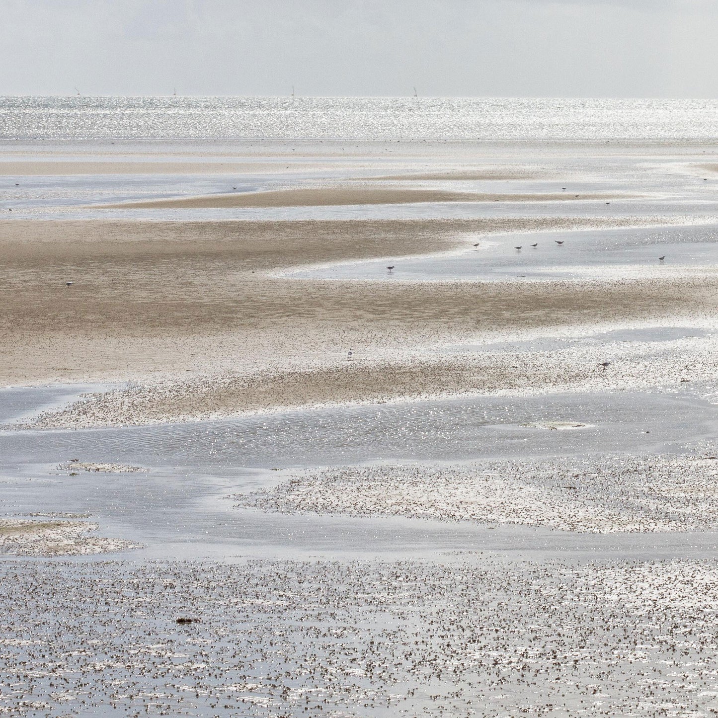 WAVE RIPPLE Estonia