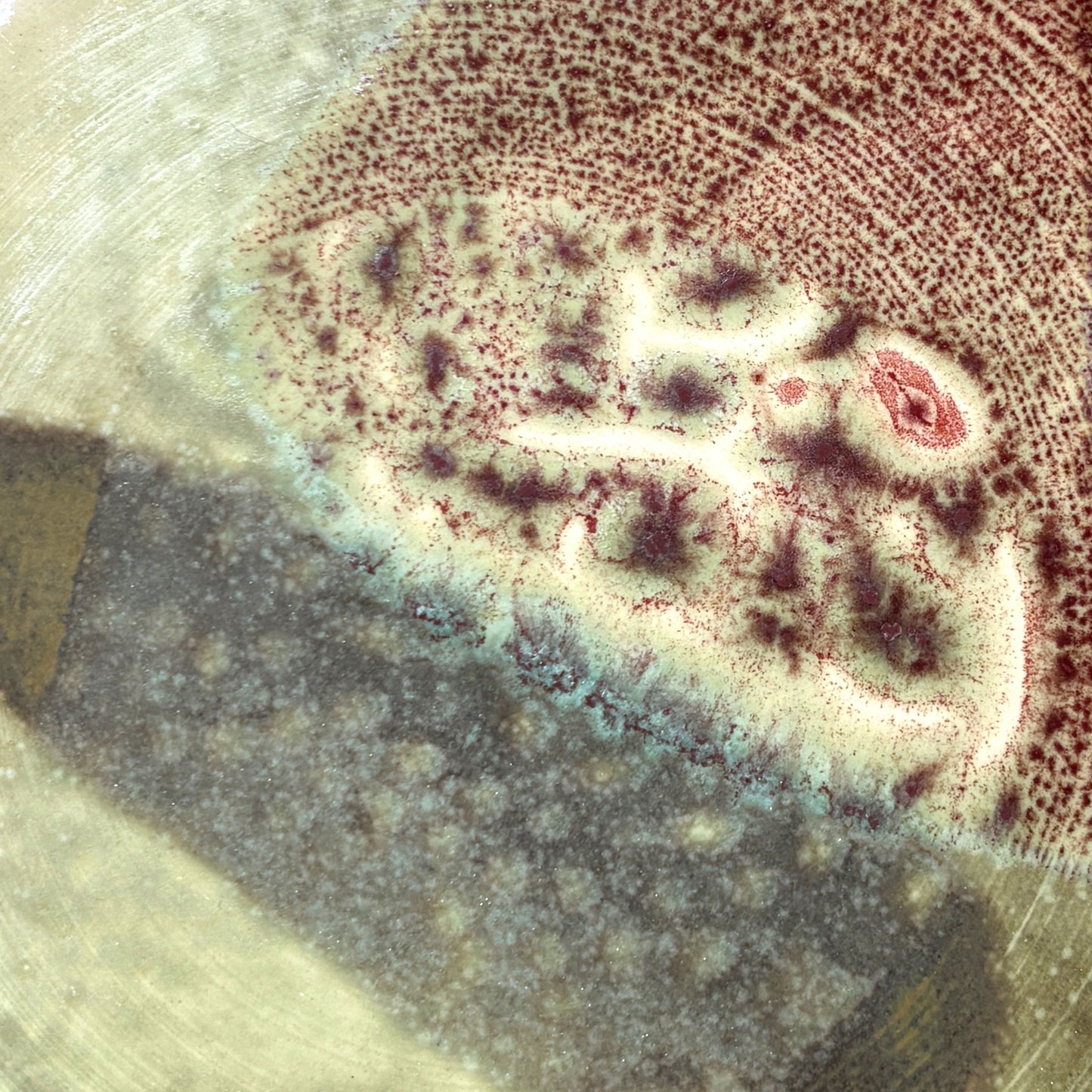 Plate MANGROVE S