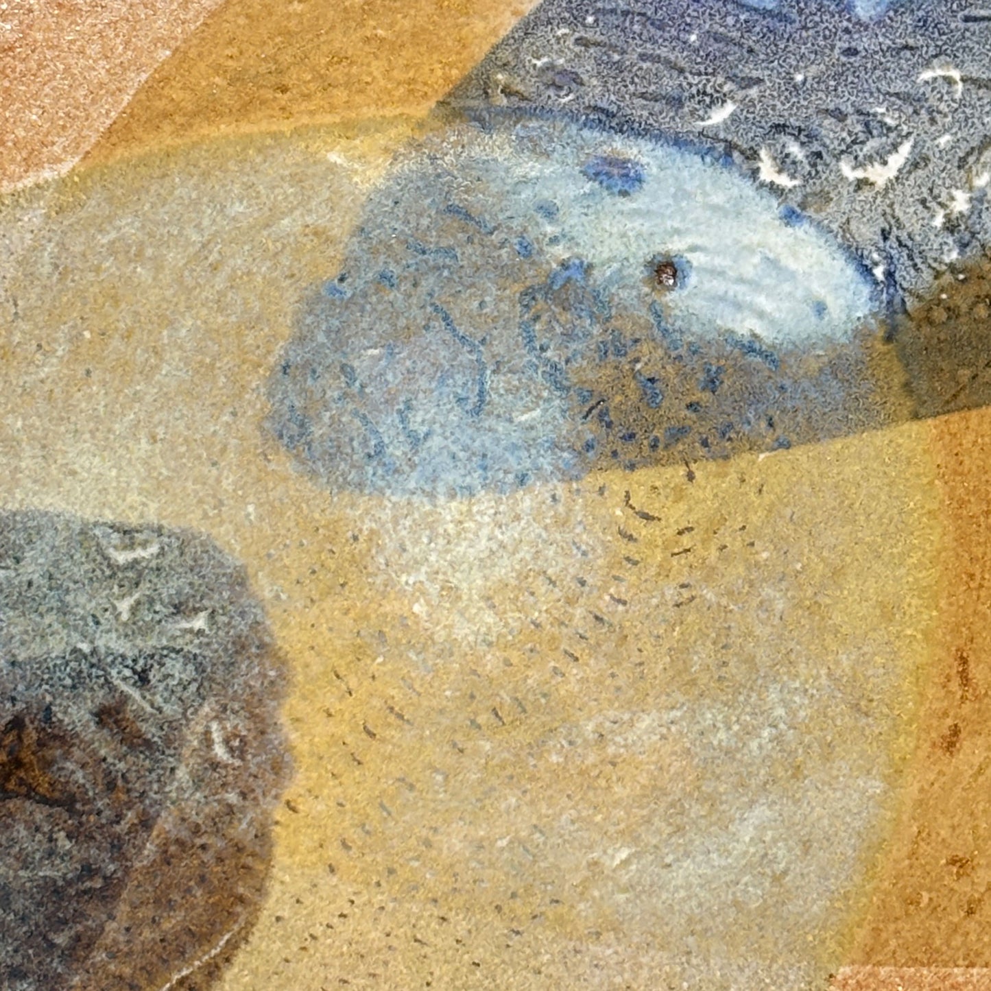 Flat plate – SEPIA / BLUE L