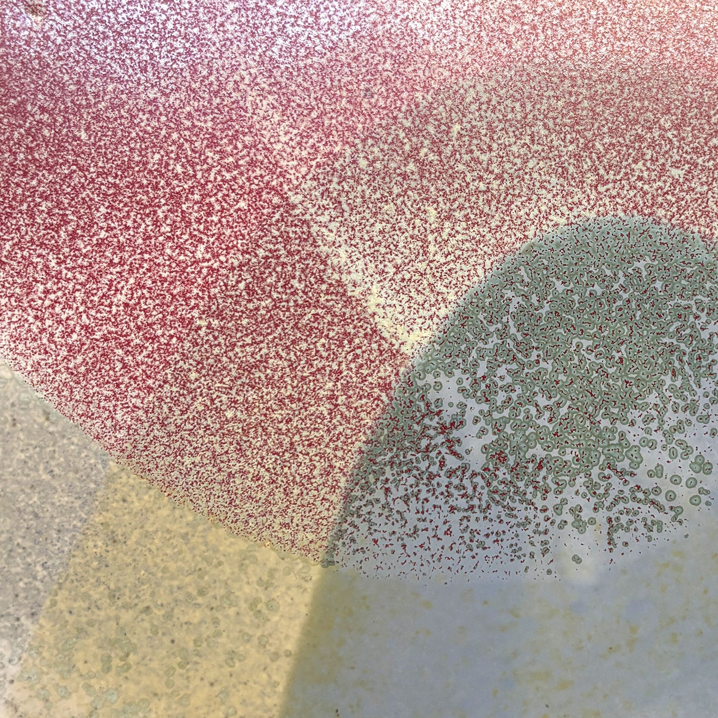 Stoneware plate – WHITE / PINK BLUE L