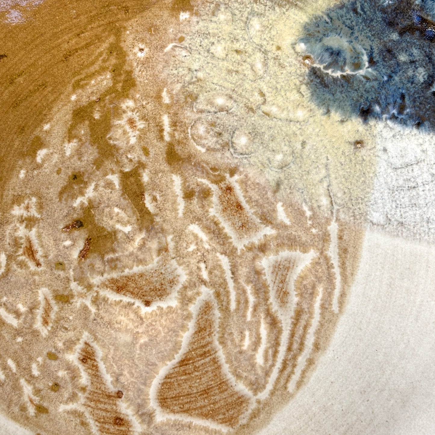 Flat plate – SEPIA / BLUE M